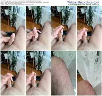 showup-maly230788-04-30-2024-04-59-33