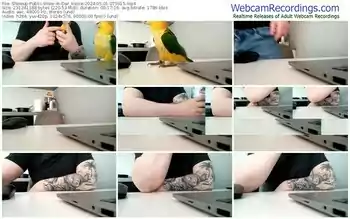 showup-dar_kielce-05-01-2024-07-59-15