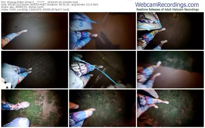 showup-__77777__-05-03-2024-23-34-46