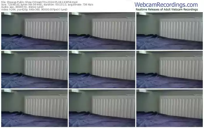 showup-dreamtits-05-08-2024-14-36-58