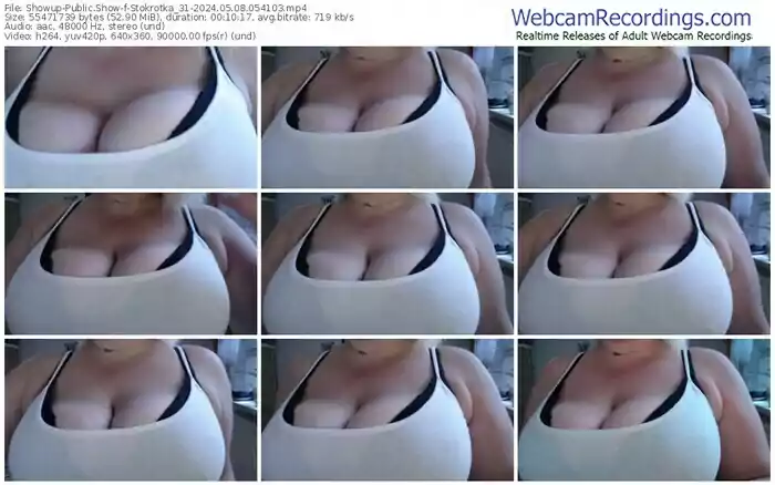 showup-stokrotka_31-05-08-2024-05-41-03