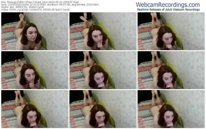 showup-shark_love-05-10-2024-20-56-37