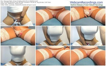 showup-oletka-05-12-2024-08-46-15