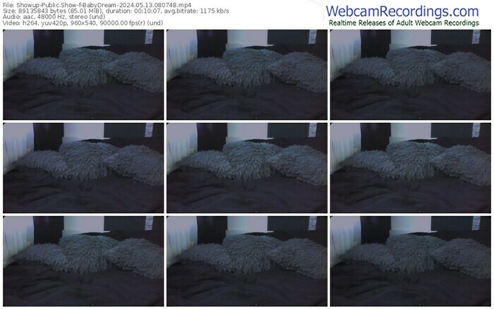 showup-babydream-05-13-2024-08-07-48