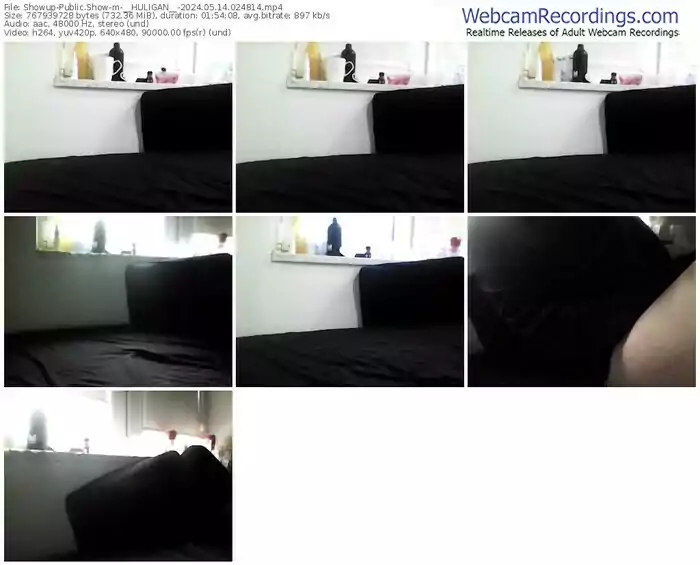 showup-__huligan__-05-14-2024-02-48-14