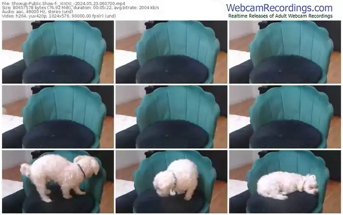 showup-_xixixi_-05-23-2024-06-07-00