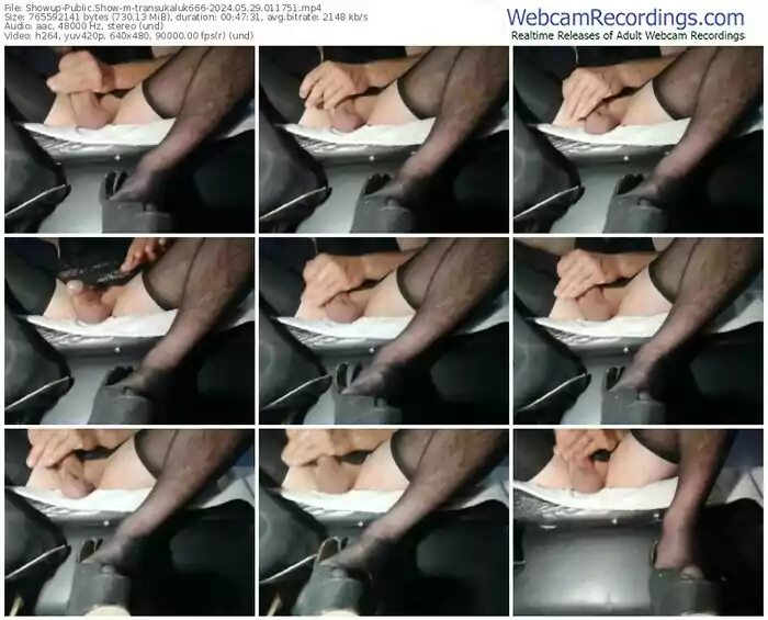 showup-transukaluk666-05-29-2024-01-17-51