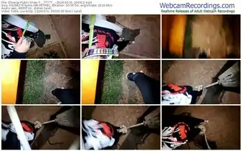 showup-__77777__-06-01-2024-20-49-12