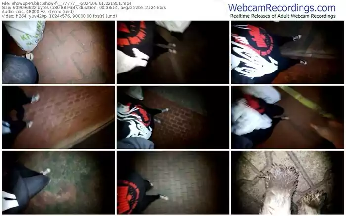 showup-__77777__-06-01-2024-22-18-11