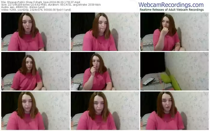 showup-shark_love-06-03-2024-17-31-37