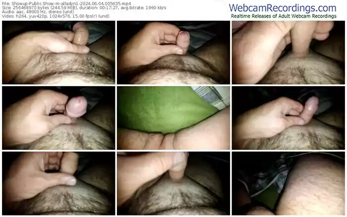 showup-alladyn1-06-04-2024-00-56-35