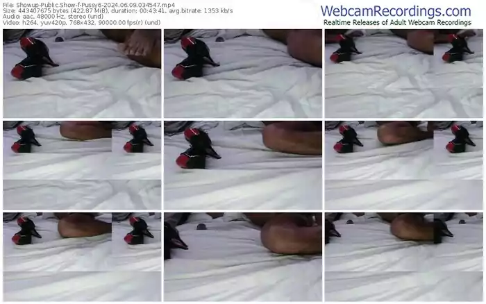 showup-pussy6-06-09-2024-03-45-47