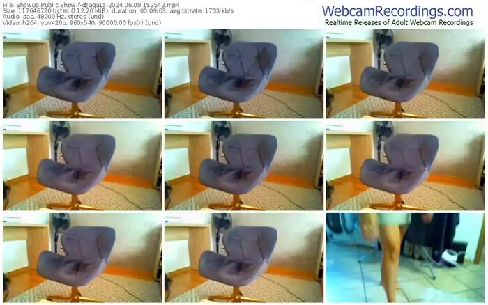 showup-dzaga1z-06-09-2024-15-25-42