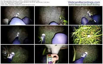 showup-__77777__-06-11-2024-00-02-09