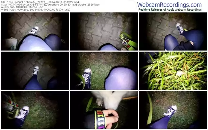 showup-__77777__-06-11-2024-00-02-09