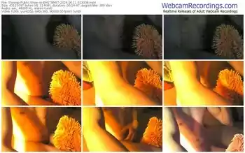 showup-bmstbmst-06-11-2024-02-33-38