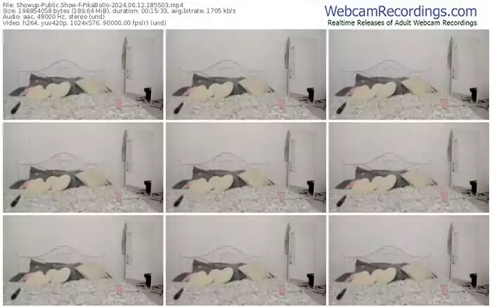 showup-pikabo0o-06-12-2024-18-55-03