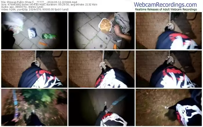 showup-__77777__-06-12-2024-22-36-48