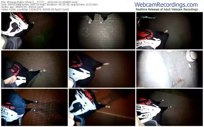 showup-__77777__-06-13-2024-00-48-09