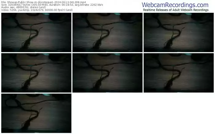 showup-discoteque1-06-13-2024-04-12-08