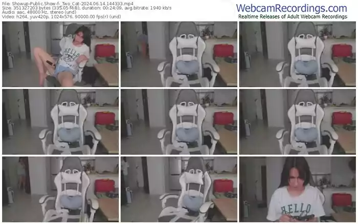 showup-_two_cat-06-14-2024-14-43-33