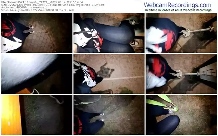 showup-__77777__-06-14-2024-22-11-56