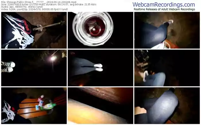 showup-__77777__-06-14-2024-23-02-48