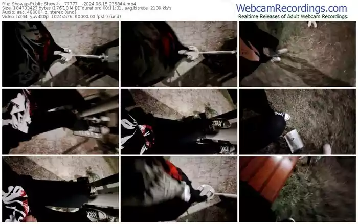 showup-__77777__-06-15-2024-23-58-44