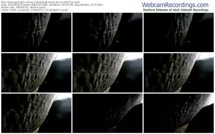 showup-dudidudi-06-16-2024-08-27-52