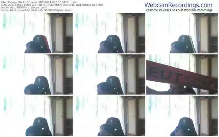 showup-stiff-06-16-2024-13-43-01