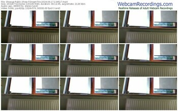 showup-dreamtits-06-17-2024-13-45-17