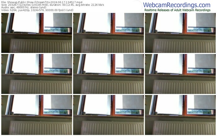 showup-dreamtits-06-17-2024-13-45-17