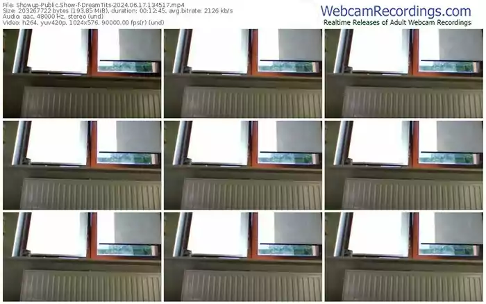 showup-dreamtits-06-17-2024-13-45-17