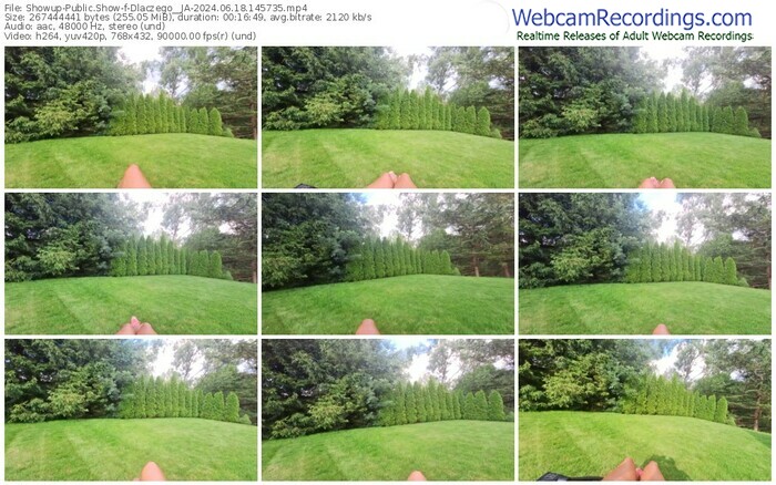 showup-dlaczego__ja-06-18-2024-14-57-35