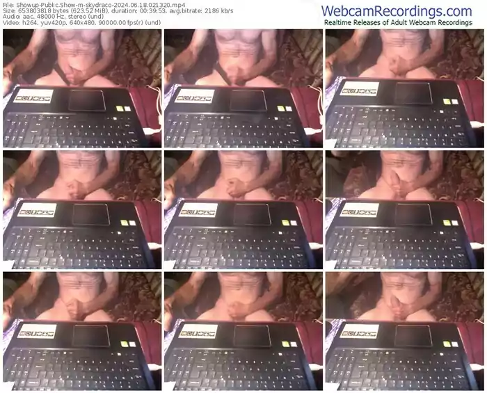 showup-skydraco-06-18-2024-02-13-20