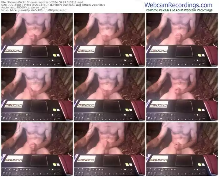 showup-skydraco-06-19-2024-01-32-12