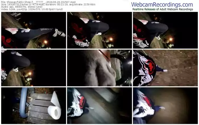 showup-__77777__-06-23-2024-23-15-07