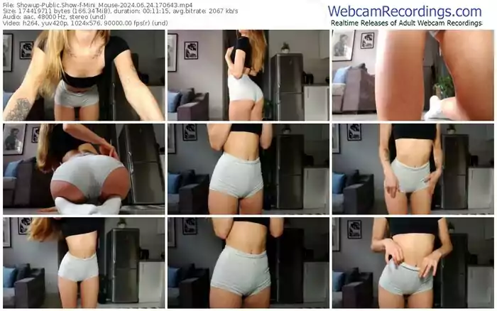 showup-mini_mouse-06-24-2024-17-06-43