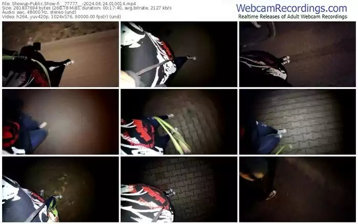 showup-__77777__-06-24-2024-01-00-14