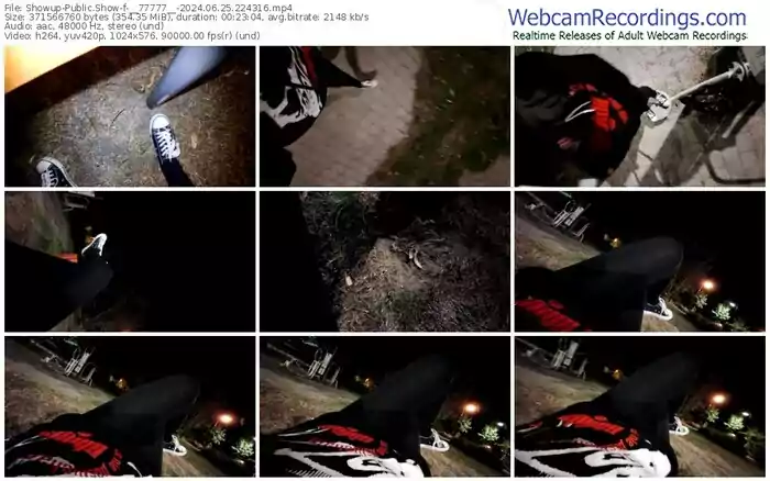 showup-__77777__-06-25-2024-22-43-16