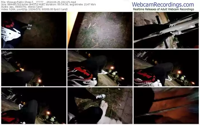 showup-__77777__-06-25-2024-23-11-25