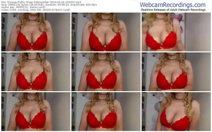 showup-remember-06-26-2024-23-46-24