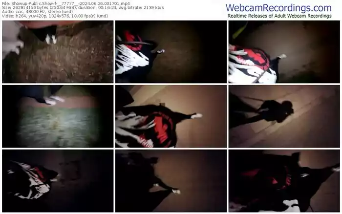 showup-__77777__-06-26-2024-00-17-01