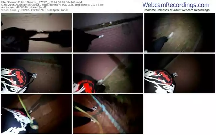 showup-__77777__-06-26-2024-00-41-43