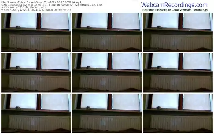 showup-dreamtits-06-28-2024-03-52-04