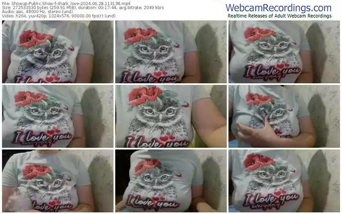 showup-shark_love-06-28-2024-11-31-38