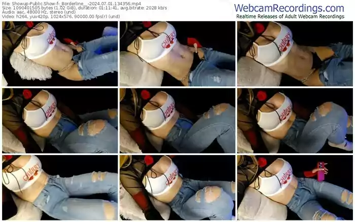 showup-_borderline__-07-01-2024-13-43-56