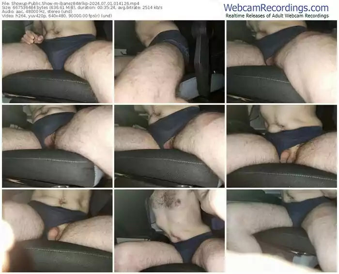 showup-ibanez84wlkp-07-01-2024-01-41-26