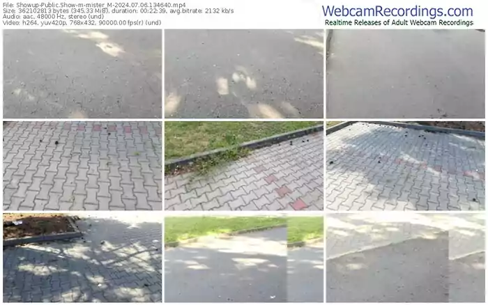 showup-mister_m-07-06-2024-13-46-40