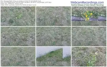 showup-mister_m-07-06-2024-18-29-26